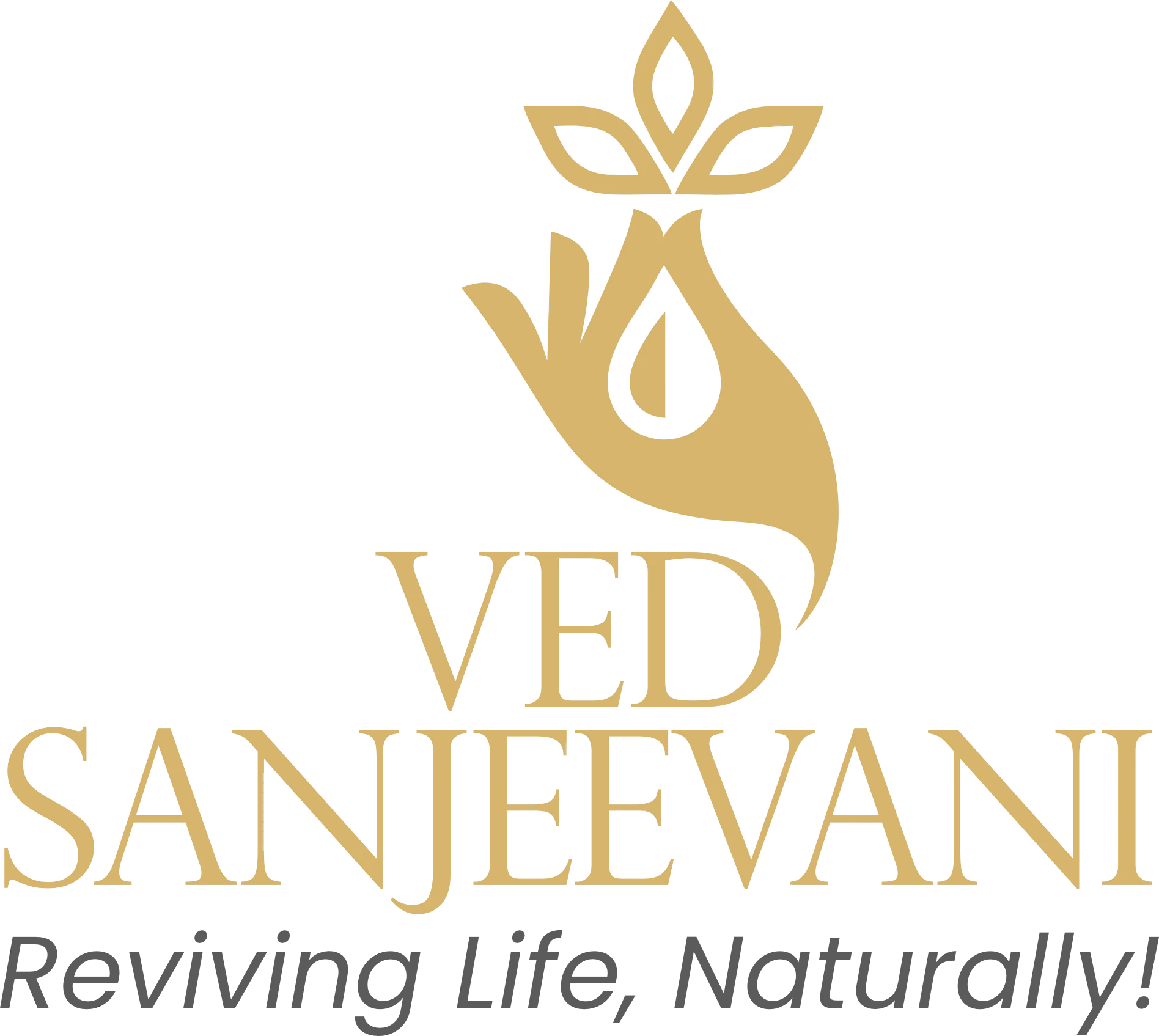 Ved Sanjeevani